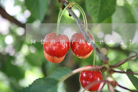 网贷逾期了协商还本金怎么算 网贷逾期了协商还本金怎么算