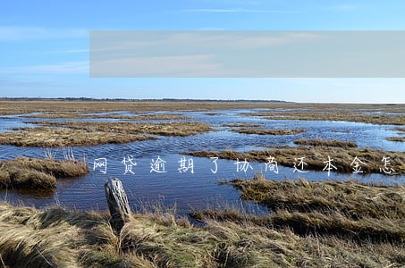 网贷逾期了协商还本金怎么还 网贷逾期了协商还本金怎么还