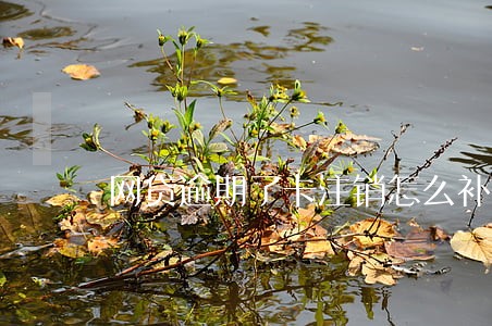网贷逾期了卡注销怎么补救 网贷逾期了卡注销怎么补救