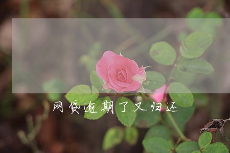 网贷逾期了又归还 网贷逾期了又归还