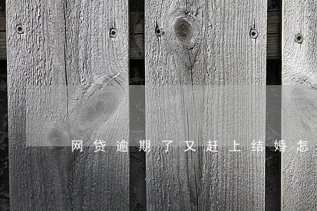 网贷逾期了又赶上结婚怎么办 网贷逾期了又赶上结婚怎么办