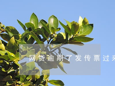 网贷逾期了发传票过来了 网贷逾期了发传票过来了