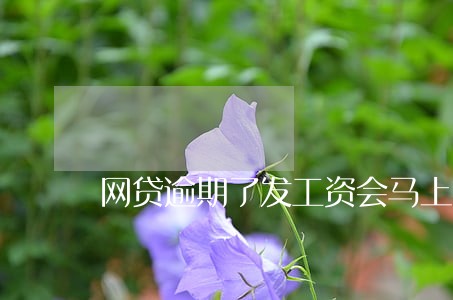 网贷逾期了发工资会马上扣款吗 网贷逾期了发工资会马上扣款吗