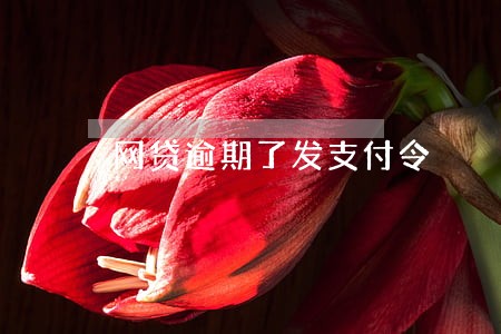 网贷逾期了发支付令 网贷逾期了发支付令