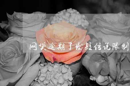 网贷逾期了发短信说限制出行