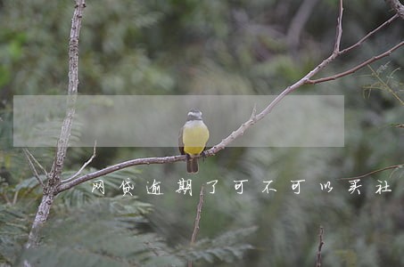 网贷逾期了可不可以买社保 网贷逾期了可不可以买社保