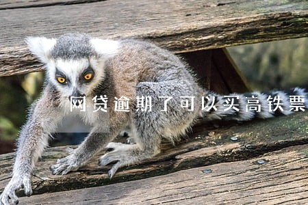 网贷逾期了可以买高铁票吗 网贷逾期了可以买高铁票吗