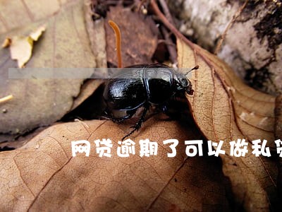 网贷逾期了可以做私贷吗 网贷逾期了可以做私贷吗