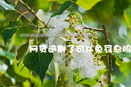 网贷逾期了可以免罚息吗 网贷逾期了可以免罚息吗