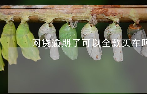 网贷逾期了可以全款买车吗 网贷逾期了可以全款买车吗