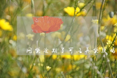 网贷逾期了可以再贷款吗 网贷逾期了可以再贷款吗