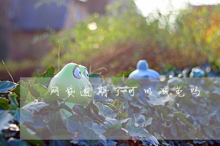 网贷逾期了可以减免吗 网贷逾期了可以减免吗