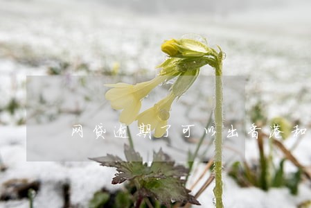 网贷逾期了可以出香港和澳门吗 网贷逾期了可以出香港和澳门吗