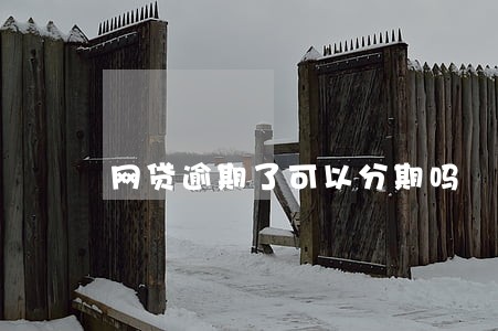 网贷逾期了可以分期吗 网贷逾期了可以分期吗