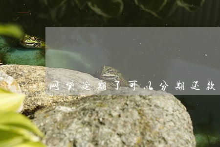 网贷逾期了可以分期还款吗 网贷逾期了可以分期还款吗
