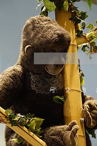 网贷逾期了可以办理社保吗 网贷逾期了可以办理社保吗