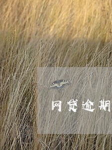 网贷逾期了可以办金融服务功能吗 网贷逾期了可以办金融服务功能吗