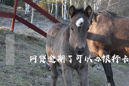 网贷逾期了可以办银行卡不 网贷逾期了可以办银行卡不