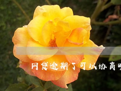 网贷逾期了可以协商晚点还吗 网贷逾期了可以协商晚点还吗