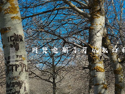 网贷逾期了可以取公积金吗 网贷逾期了可以取公积金吗