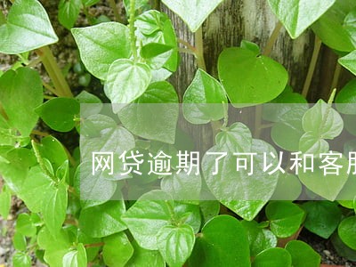 网贷逾期了可以和客服协商嘛 网贷逾期了可以和客服协商嘛