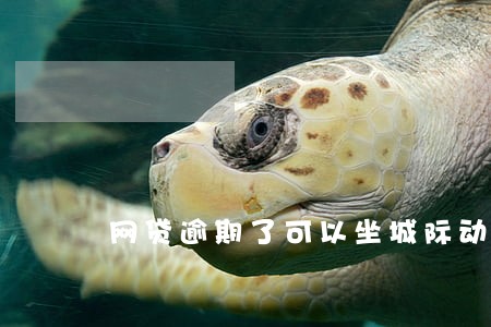 网贷逾期了可以坐城际动车吗 网贷逾期了可以坐城际动车吗