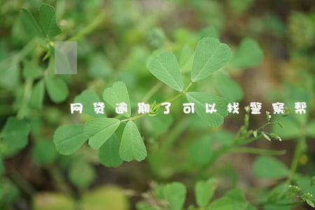 网贷逾期了可以找警察帮忙吗 网贷逾期了可以找警察帮忙吗