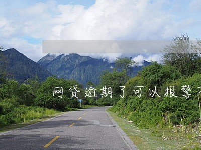 网贷逾期了可以报警不