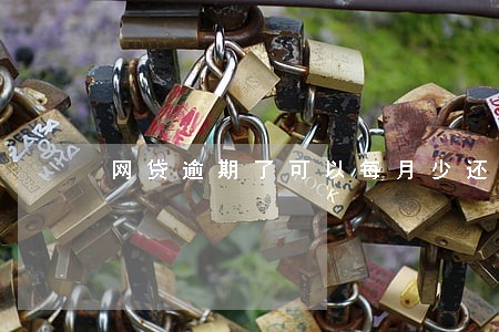 网贷逾期了可以每月少还点