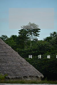 网贷逾期了可以申请公租房吗 网贷逾期了可以申请公租房吗