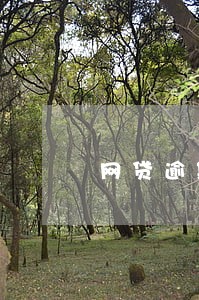 网贷逾期了可以请律师协商吗 网贷逾期了可以请律师协商吗