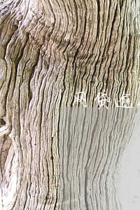 网贷逾期了可以跑美团众包吗 网贷逾期了可以跑美团众包吗