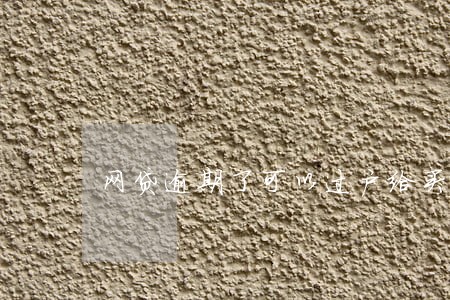 网贷逾期了可以过户给买家吗 网贷逾期了可以过户给买家吗