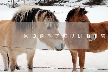 网贷逾期了可以进顺丰骑士吗 网贷逾期了可以进顺丰骑士吗