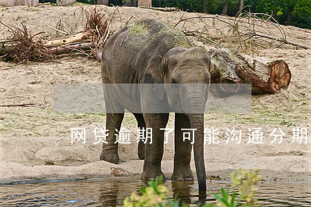网贷逾期了可能沟通分期 网贷逾期了可能沟通分期