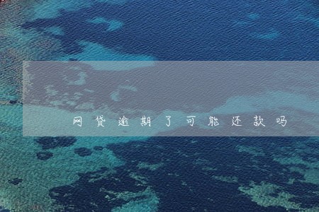 网贷逾期了可能还款吗