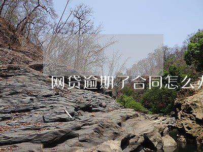 网贷逾期了合同怎么办 网贷逾期了合同怎么办
