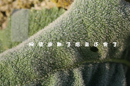 网贷逾期了后来还完了 网贷逾期了后来还完了