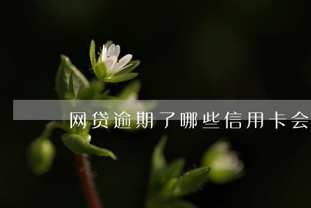 网贷逾期了哪些信用卡会被冻结 网贷逾期了哪些信用卡会被冻结