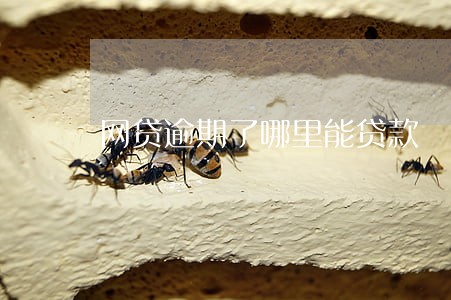 网贷逾期了哪里能贷款 网贷逾期了哪里能贷款