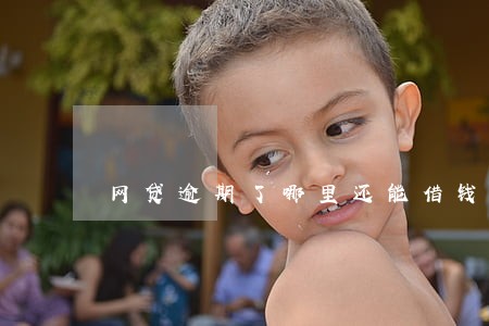 网贷逾期了哪里还能借钱 网贷逾期了哪里还能借钱