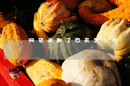 网贷逾期了四天怎么办 网贷逾期了四天怎么办