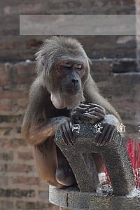 网贷逾期了四年 网贷逾期了四年