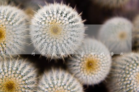 网贷逾期了在哪找委托公司