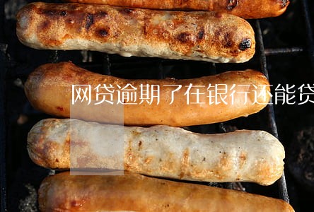 网贷逾期了在银行还能贷款 网贷逾期了在银行还能贷款