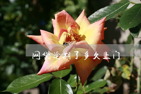 网贷逾期了多久上门