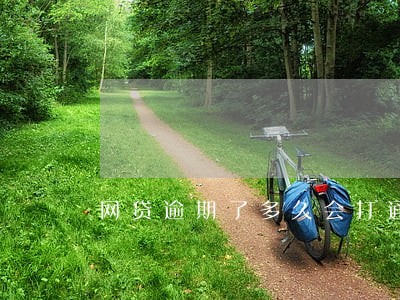 网贷逾期了多久会打通讯录 网贷逾期了多久会打通讯录