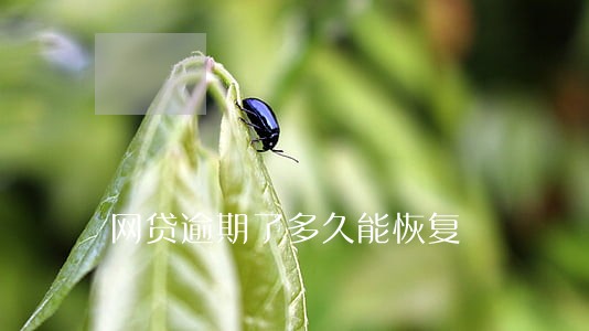 网贷逾期了多久能恢复 网贷逾期了多久能恢复