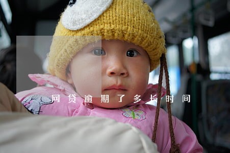 网贷逾期了多长时间 网贷逾期了多长时间