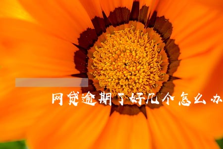 网贷逾期了好几个怎么办 网贷逾期了好几个怎么办